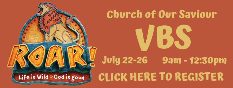 VBS Image Link